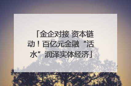 金企对接 资本链动！百亿元金融“活水”润泽实体经济